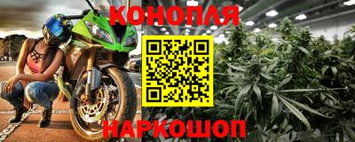 стафф Дубна