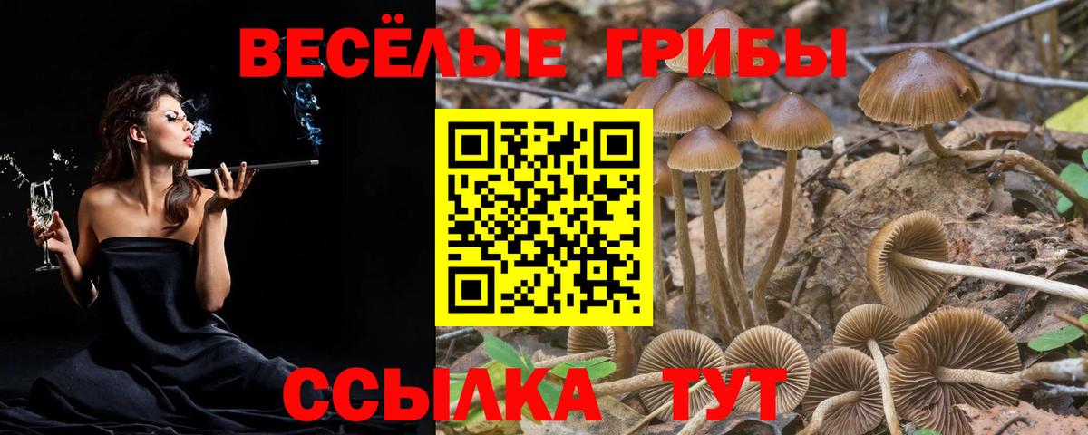 Псилоцибиновые грибы Magic Shrooms  Вход с VPN  Кунгур  цена наркотик  Галлюциногенные грибы GOLDEN TEACHER 